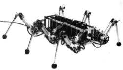 robot