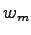 $w_{m}$